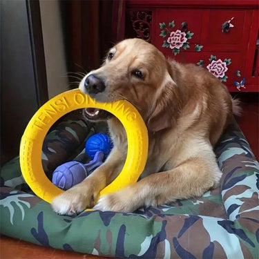 Training Ring Puller - Angie's Pet ProvisionsAngie's Pet Provisions